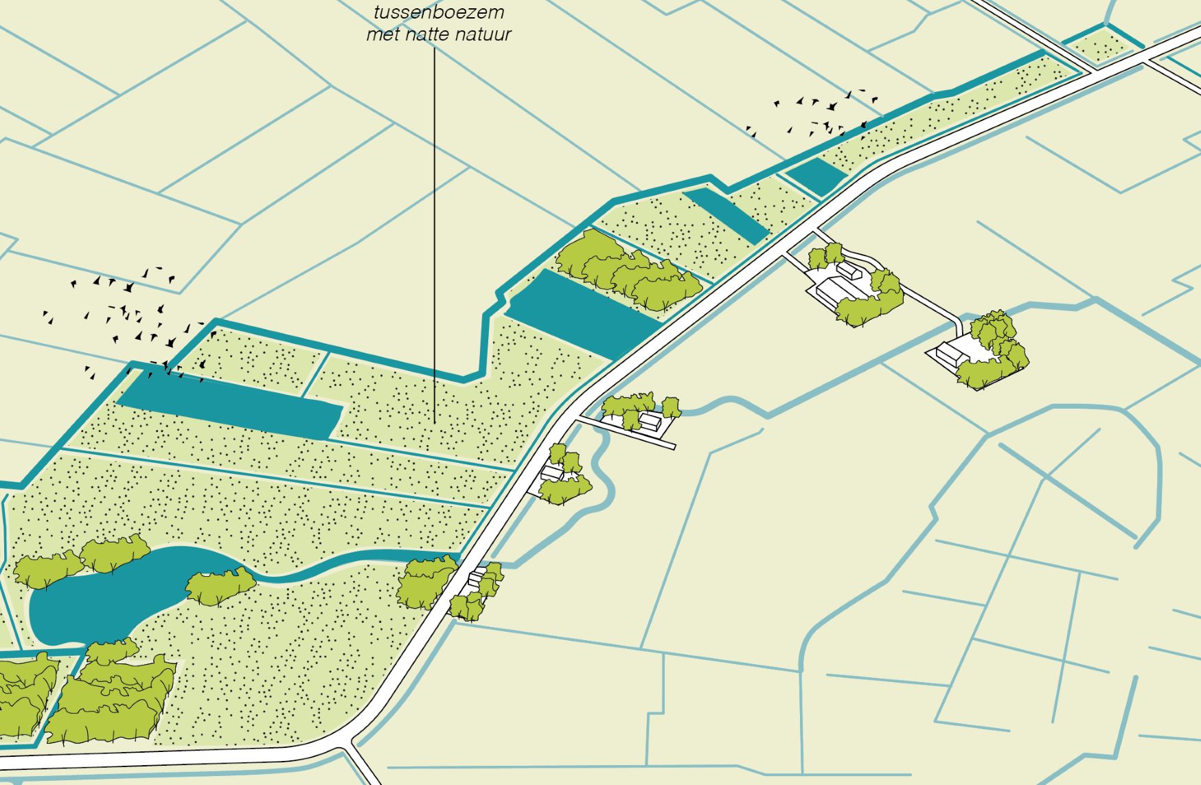 Illustratie: landschap met tussenboezem en natte natuur